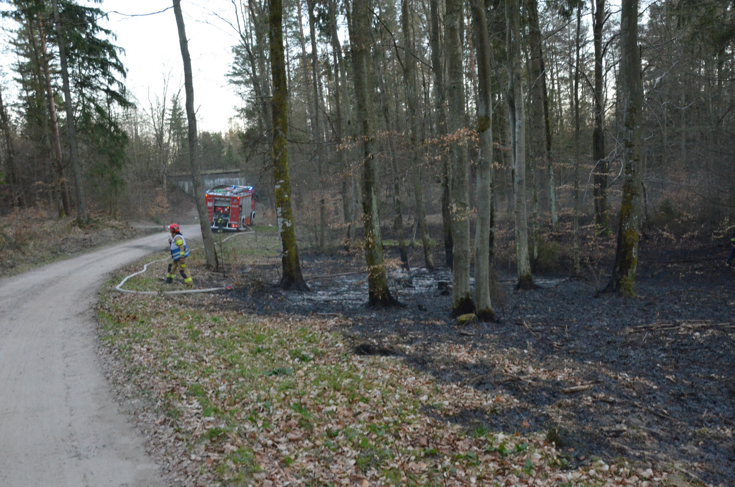 Jeden z pożarów w Leśnictwie Sierakowice. fot. arch./W.D.